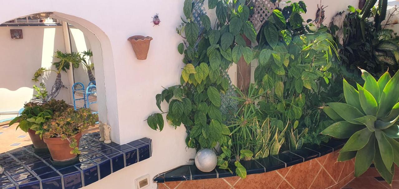 Villa Violetta Callao Salvaje Kültér fotó